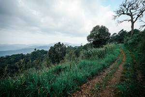 BIB: 
                            <button type="button" onclick="openModal(26029026)" class="btn btn-primary btn-sm float-right btn-popup" data-toggle="modal" data-target=".modal-high-quality">
                        <i class="fas fa-shopping-cart"></i> Add to Cart
                    </button>
                                            <button type="button" onclick="isThisMe(26029026, true)" class="btn btn-success btn-sm float-right btn-popup btn-isme hidden" data-toggle="tooltip" data-placement="bottom" title="นี่คือรูปของคุณใช่ไหม คลิกที่นี่เพื่อเอาเข้าอัลบั้ม">
                        <i class="fas fa-plus"></i> Add to album
                    </button>
                    <button type="button" onclick="isThisMe(26029026, false)" class="btn btn-warning btn-sm float-right btn-popup btn-isnotme hidden">
                        <i class="fas fa-ban"></i> Remove from album
                    </button>